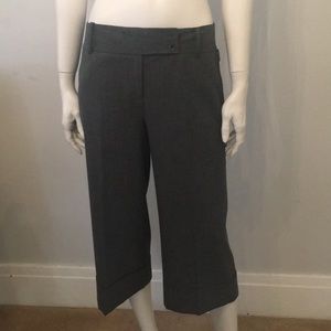 Ann Taylor Capri Pants.